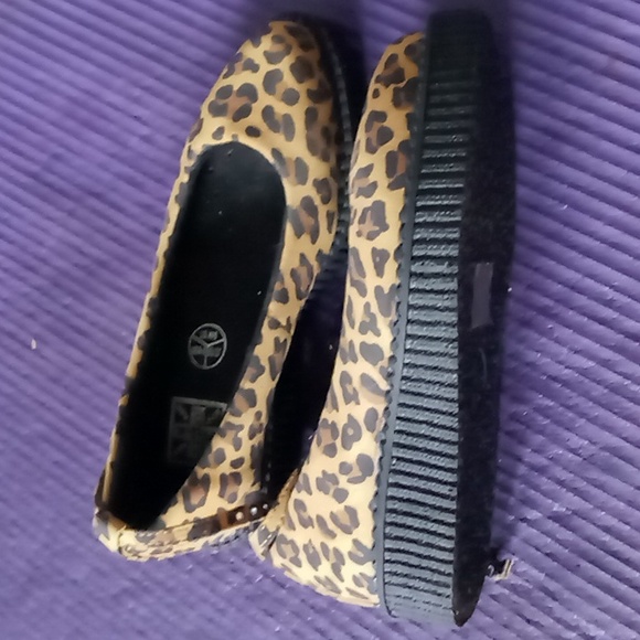 Tuk leopard creapers - Picture 4 of 5